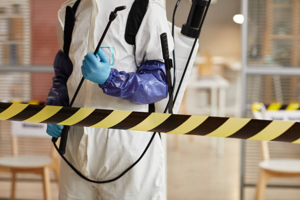 Professional Sewage Cleanup technician working in Oakland, FL